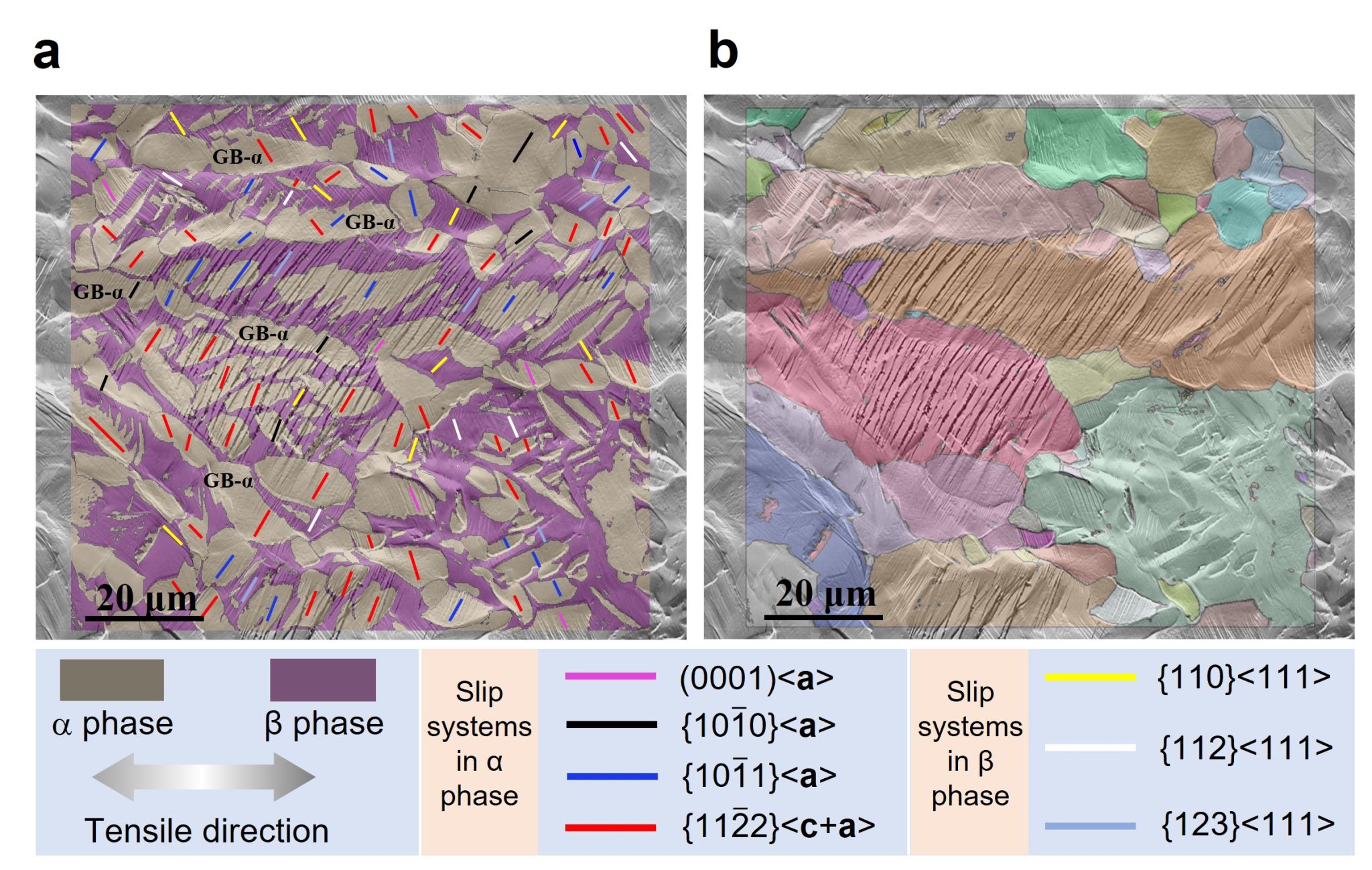图片8.jpg 图片8.jpg