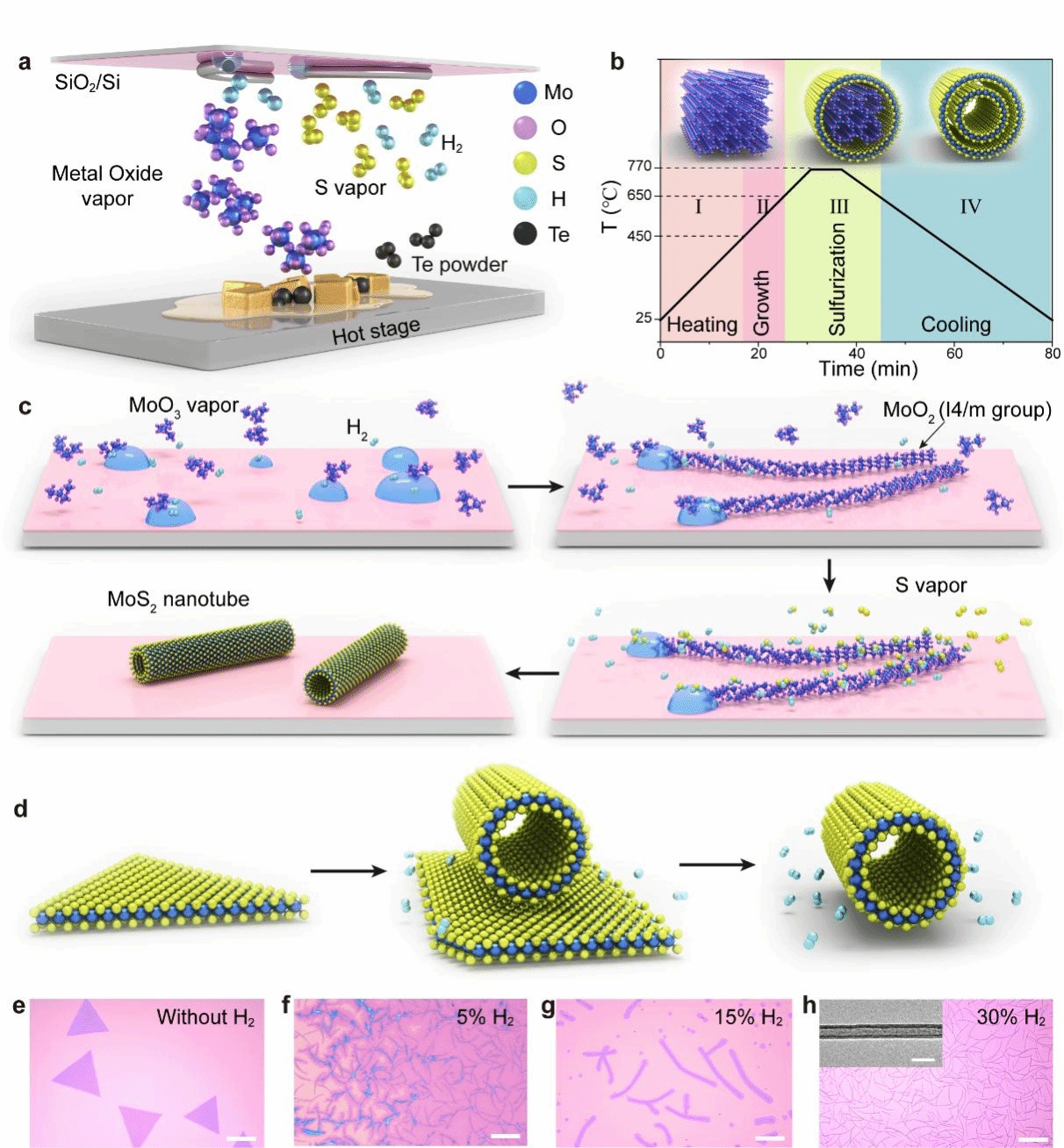 图片4.png 图片4.png