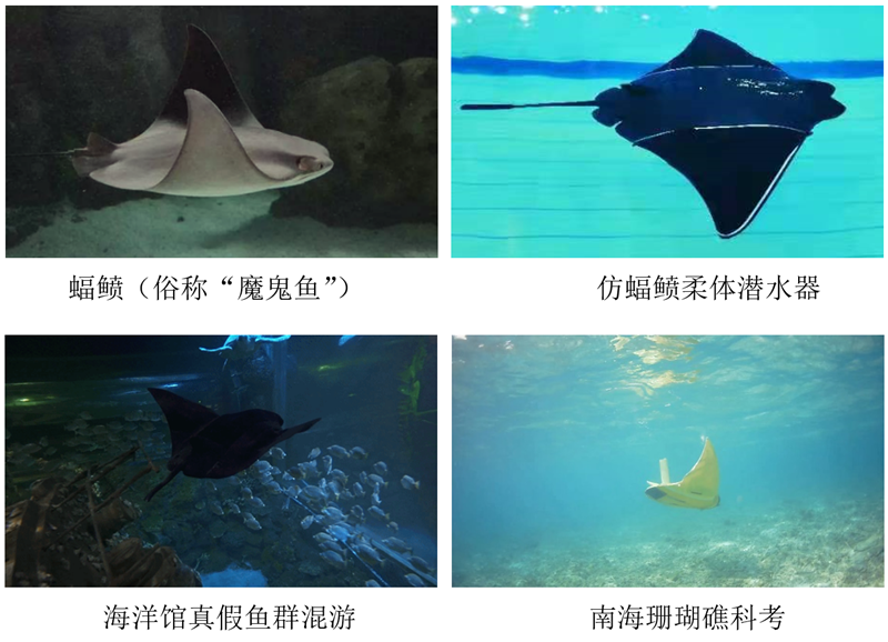 1234_副本.png
