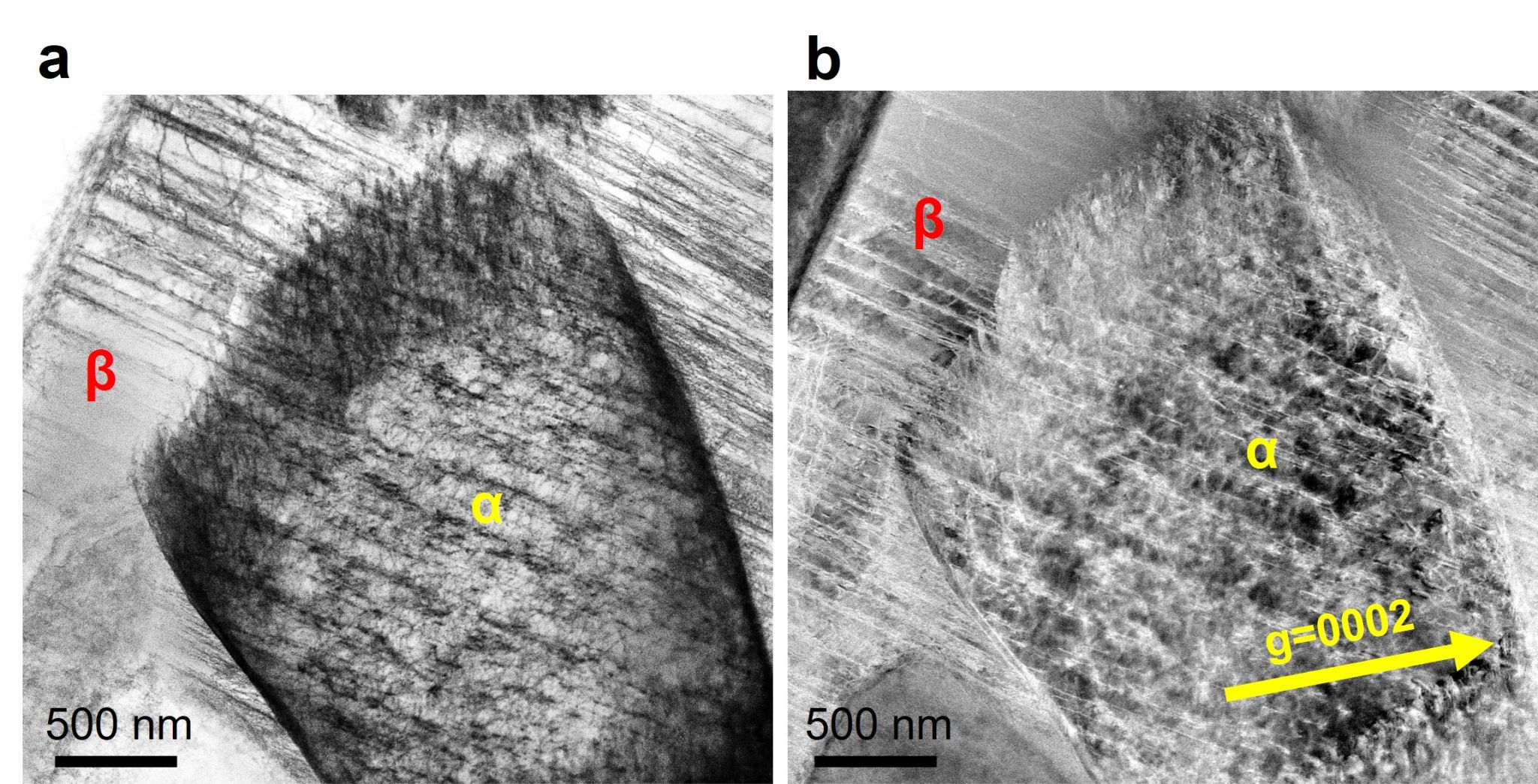 图片6.jpg 图片6.jpg